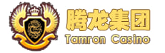 腾龙集团有限公司